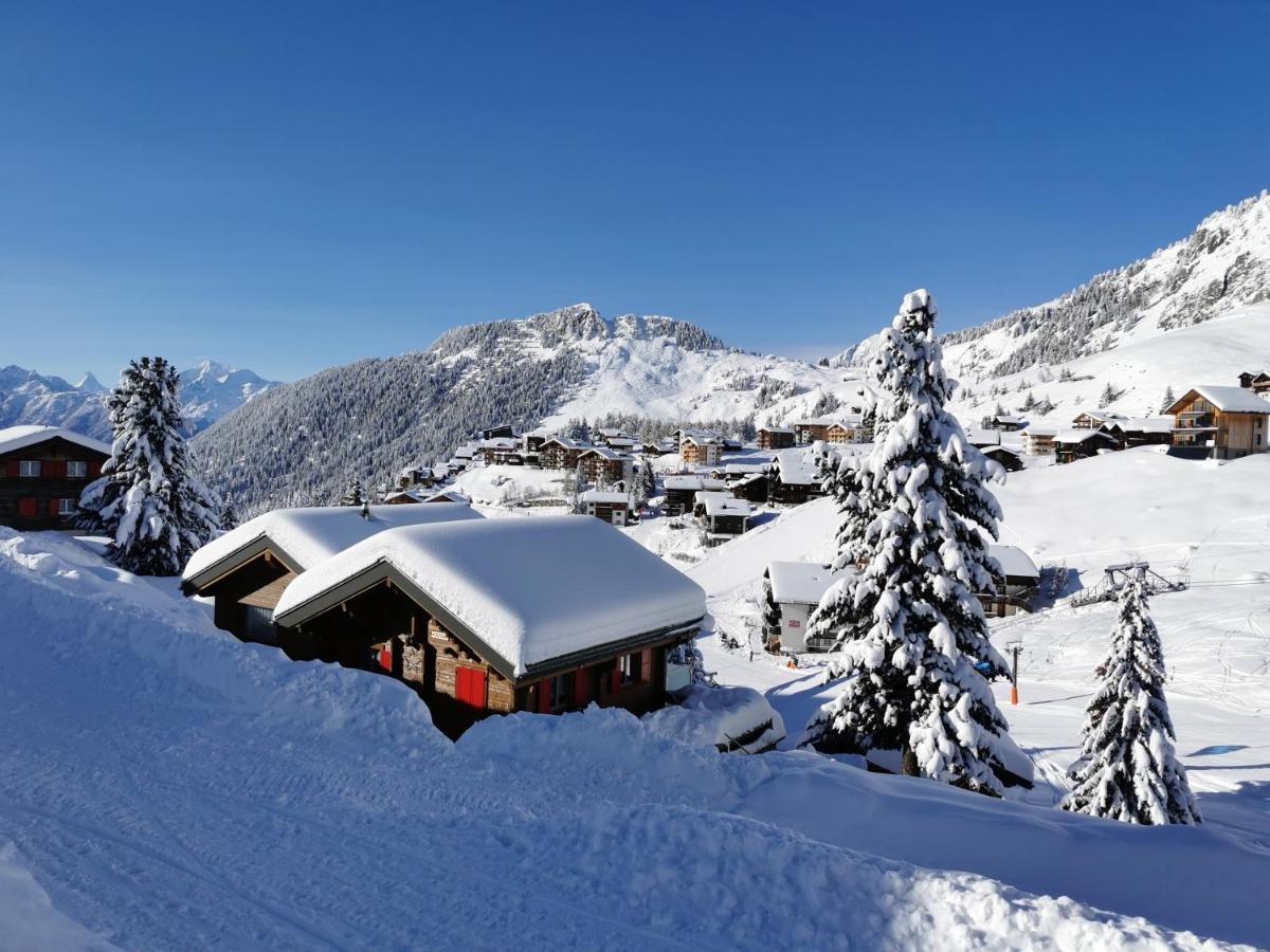 Chalet Enzian Riederalp Εξωτερικό φωτογραφία