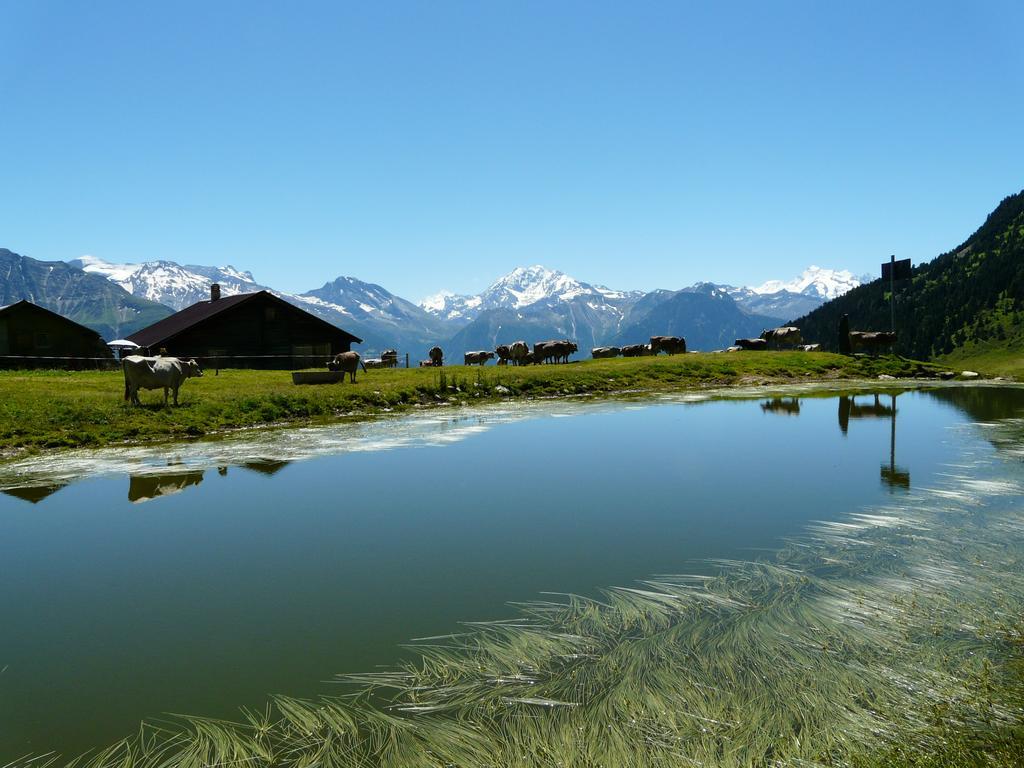 Chalet Enzian Riederalp Εξωτερικό φωτογραφία