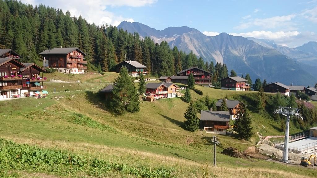 Chalet Enzian Riederalp Εξωτερικό φωτογραφία