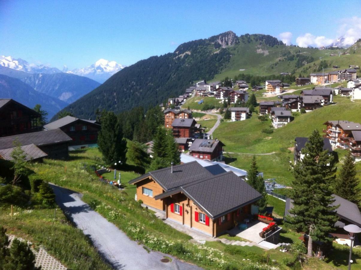 Chalet Enzian Riederalp Εξωτερικό φωτογραφία